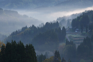 朝霧がに包まれる山の景色