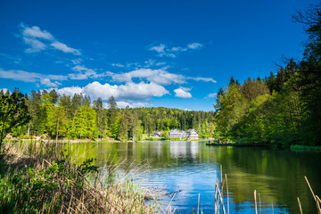 Ebnisee near kaisersbach, an untouched nature reserve lake water in the middle of the green swabian forest in summer