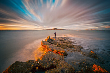 Beaches of Auckland St Heliers