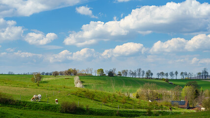 Wiosenny krajobraz natura