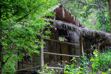 A decayed bamboo hut in the forest with a thatched roof with unattended grass can be used as a shelter to shelter from the rain while hiking.
