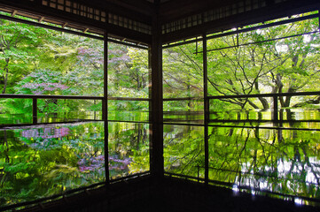 Rurikouin in Kyoto
瑠璃光院
