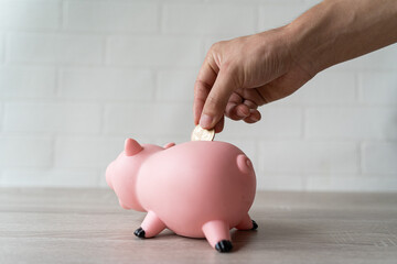 ぶたの貯金箱にお金を入れる