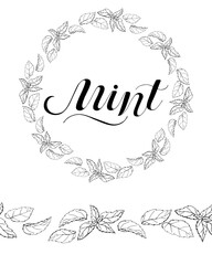 Mint Hand written Black script thin Typography text lettering and Calligraphy phrase isolated on the White background. Design of spice, ingredient, medicinal herb for label, tea, menu, logo.
