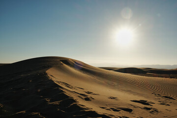 sunset in the dunes of the delta del ebro natural park, punta del fangar, tarragona, catalonia,...