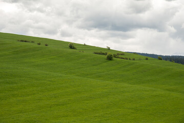 Fototapeta na wymiar Green valley in the spring. Meadow and field with trees