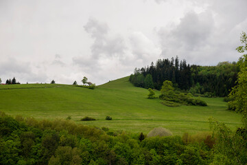 Green valley in the spring. Meadow and field with trees