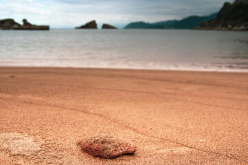 Pumice Stone on Beach