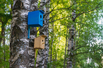 Birdhouses for birds in trees made by caring children, protection of wild birds