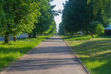 Fototapeta na wymiar Sidewalk in the avenue of lime trees in the summer evening