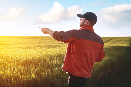 A male agronomist examines wheat crops in an agricultural field. A farmer in a wheat field makes notes in a notebook at sunset. Grain crop yield assessment