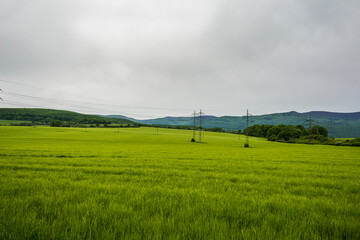 Fototapeta na wymiar High power electric poles in the green field