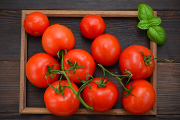 tomatoes and basil on a wooden background in a frame