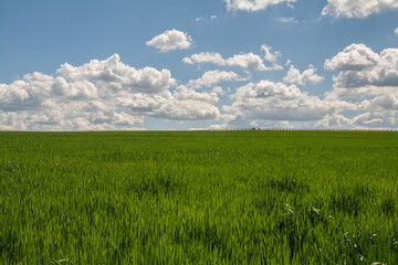 Obraz premium sommerlandschaft