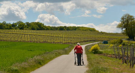 Obraz premium frau mit rollator unterwegs