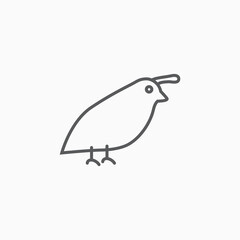 quail icon, bird vector, animal illustration