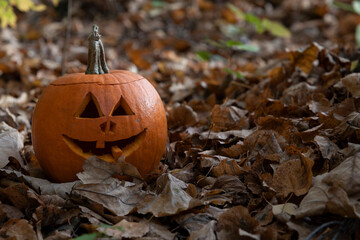 Close-up view of Jack O' Lantern face in the forest. Smiling face carved on orange pumpkin. Side view. Selective focus. Copy space for your text. Halloween theme.