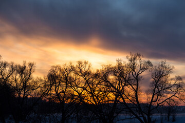 Colorful sunset behind the crowns of trees in winter
