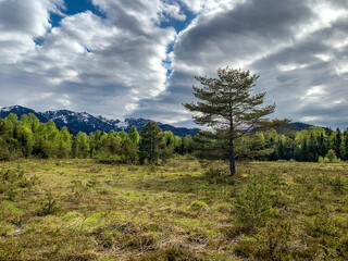 Obraz premium Ein Unwetter zieht über der Moorlandschaft zusammen