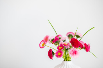 Pink spring flowers in vase on white background, closeup view.