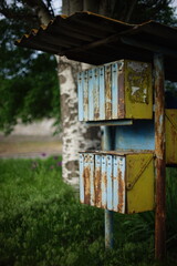 Old rusty street mailbox with many cells among green grass and t