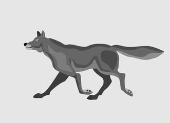 Grey Wolf running . Powerfull of a dangerous predator animal. A wild  animal with gray fur. Side view. Vector illustration isolated on  white 