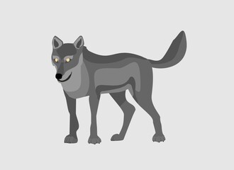 Grey Wolf looks in standing pose . Powerfull of a dangerous predator animal. A wild  animal with gray fur. Front view. Vector illustration isolated on  white 