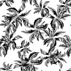 Black Banana Leaf Set. White Isolated Leaf. Seamless Plant. Pattern Print. Watercolor Foliage. Tropical Leaf. Botanical Texture. Summer Design.