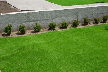 Mole hills under artificial turf in garden. Grass damage concept.