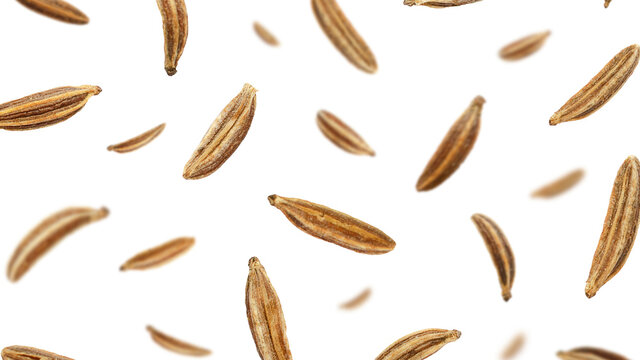 Falling caraway seeds isolated on a white background, top view. Cumin seeds in the air on a white background. Set of cumin seeds in the air. Caraway grains isolated on white background.