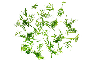 Sliced dill isolated on white background, top view, close-up. Fresh organic dill sliced on a white,...