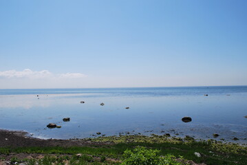 some pics on nature from a beginner photografer!