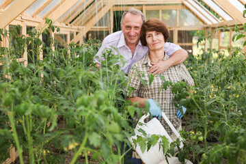 Portrait of happy elderly couple in the greenhouse
