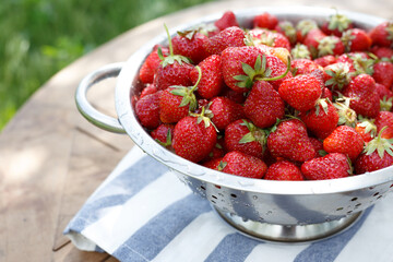 colander with strawberries in the garden