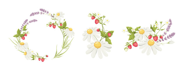 Decor for Wedding invitation with lavender, chamomile and strawberry. Set vector design elements on the theme of flowering and summer.	