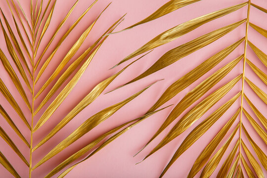 Golden Palm Leaf, Tropical Leave Texture On Pink Background. Painted Golden Leaves Of Tropical Plants. Summer Backgroun Gold Floral Background.