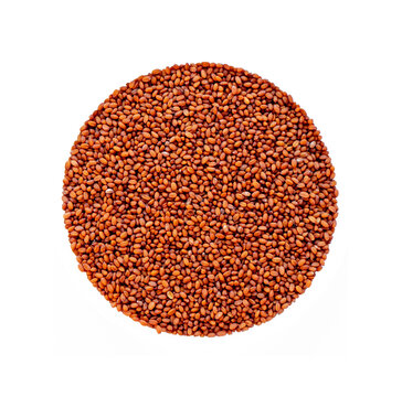 The seed isolate of Camelina sativa in the form of a circle. Raw materials for the manufacture of camelina oil. Oilseeds of agricultural crops. Top view of seeds.