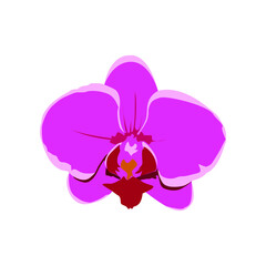 Illustration Vector graphic of Orchid flower design