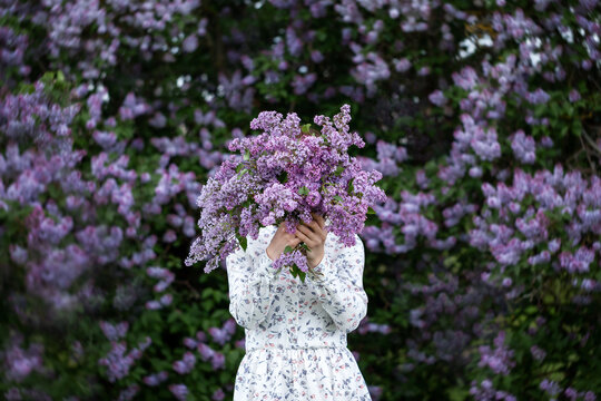 Beautiful woman in a dress covers her face with a purple bouquet of Lilacs. Girl holding large bouquet of purple flowers in her hands