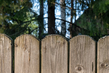 A wooden fence with planks rounded on top. Outdoors of day. Front view.