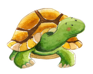 Watercolor children's turtle illustration