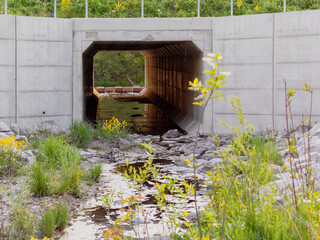 Selective focus on large concrete stream culvert below city road. Sunset lighting the interior...