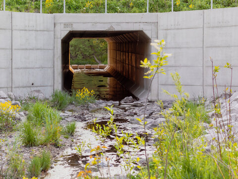 Selective focus on large concrete stream culvert below city road. Sunset lighting the interior tunnel making it appear bronze. Yellow flower and stream in foreground. Built 2019.