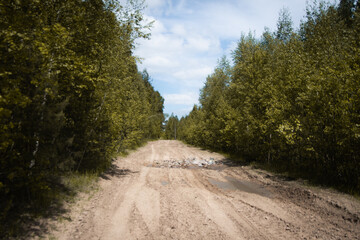 gravel road in the forest