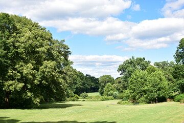 Fototapeta na wymiar Lush park landscape with a cloudy blue sky 