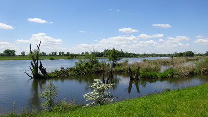 Donau bei Regensburg