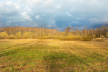 Landscape with yellow field and trees under blue cloudy sky.