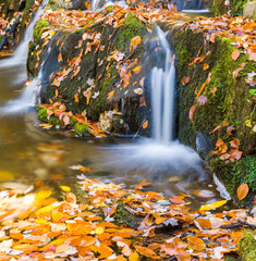 Obraz na płótnie Canvas Autumn Leaves and Waterfall in the Great Smoky Mountains