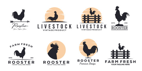 set of rooster chicken logo vintage vector illustration design, rooster logo design