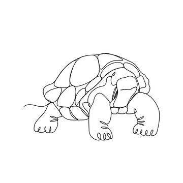 One single line drawing of big land tortoise for logo identity. Adorable creature reptile animal mascot concept for conservation foundation. Continuous line draw design illustration.